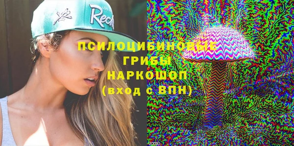 молекула духа Богородск