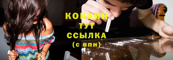 молекула духа Богородск