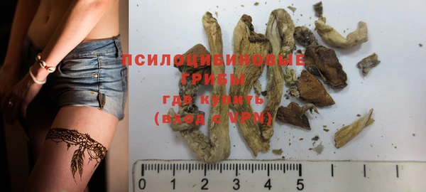 PSILOCYBIN Богданович