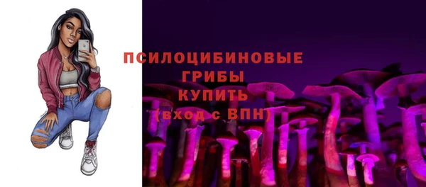 молекула духа Богородск