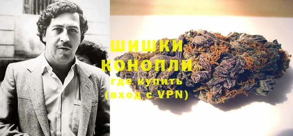 PSILOCYBIN Богданович