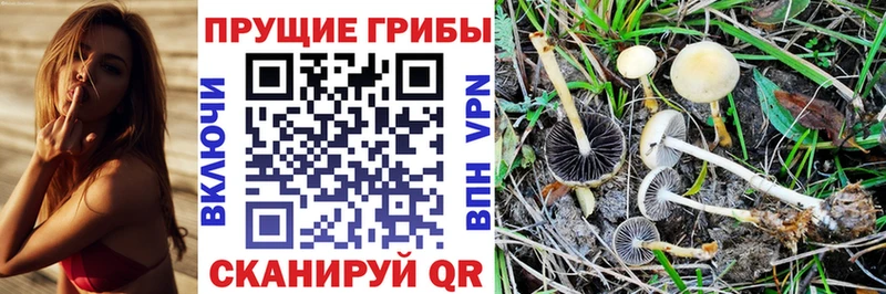 Галлюциногенные грибы мицелий  даркнет сайт  Биробиджан 